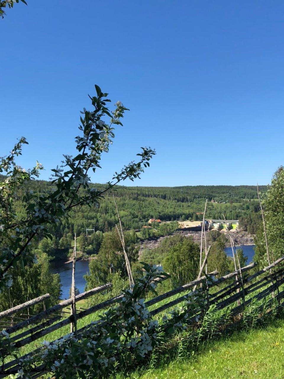 Hotell Restaurang Naemforsen Näsåker Eksteriør billede